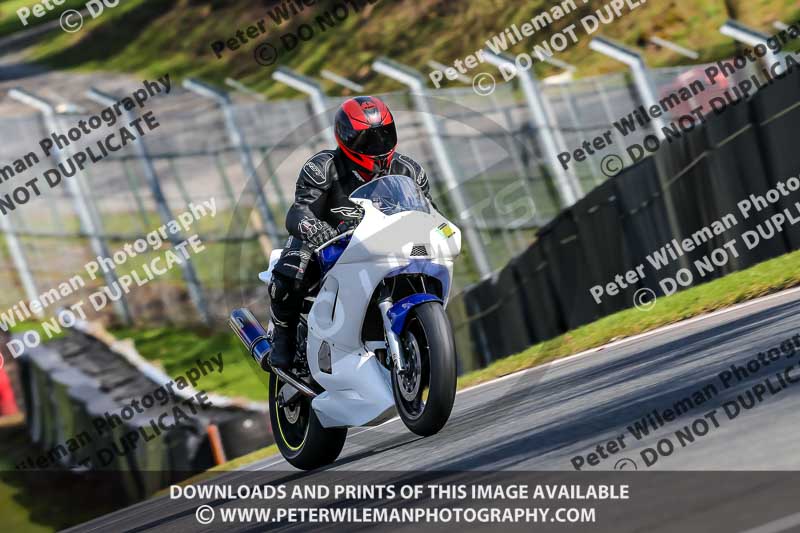 Oulton Park 20th March 2020;PJ Motorsport Photography 2020;anglesey;brands hatch;cadwell park;croft;donington park;enduro digital images;event digital images;eventdigitalimages;mallory;no limits;oulton park;peter wileman photography;racing digital images;silverstone;snetterton;trackday digital images;trackday photos;vmcc banbury run;welsh 2 day enduro